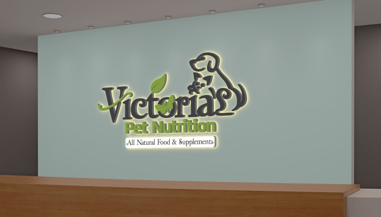 Custom 3D Metal Backlit Sign for Crystal Schoenborn - Nova Pro Signs