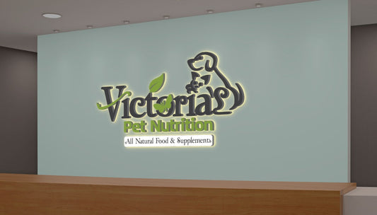Custom 3D Metal Backlit Sign for Crystal Schoenborn - Nova Pro Signs