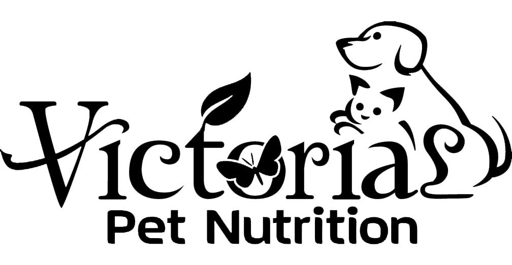 Custom 3D Metal Backlit Sign for Crystal Schoenborn (Black) - Nova Pro Signs